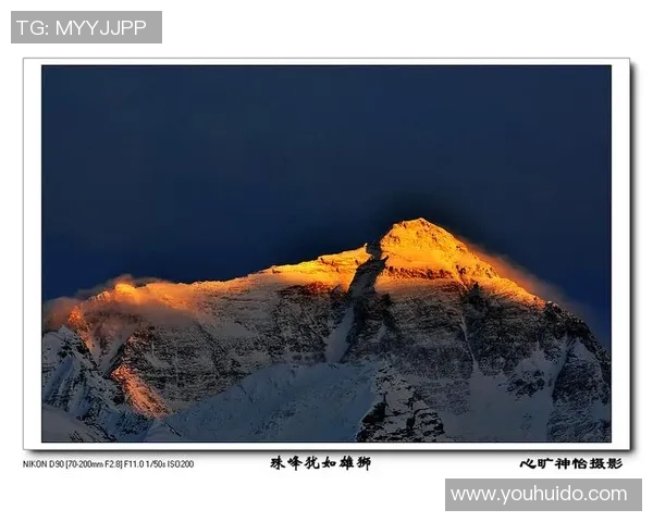 深圳极限运动队的挑战与突破:一段激情与坚持的纪实之旅